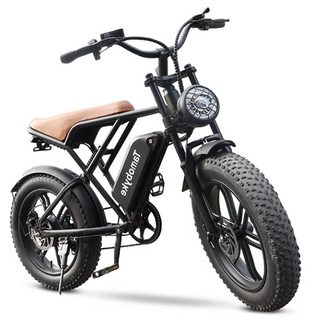 Waterproof Electric Bicycle