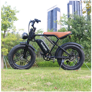 Waterproof Electric Bicycle