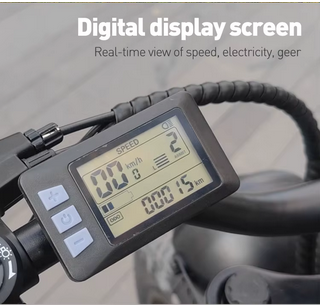 Waterproof Electric Bicycle