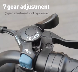Waterproof Electric Bicycle