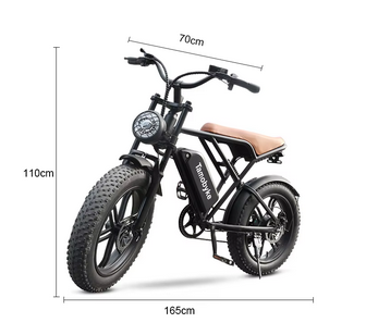 Waterproof Electric Bicycle